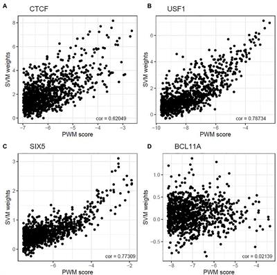 Systematic Evaluation of DNA Sequence Variations on in vivo Transcription Factor Binding Affinity